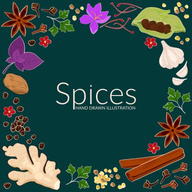 Frame with spices. Hand drawn illustration of different spices on dark background. Use to create menus, packaging, prints.