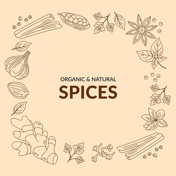Illustration Different Spices Line Art Vector — Stock Vector