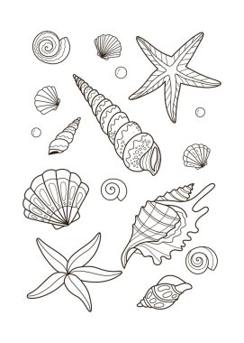 Deniz yıldızı ve deniz kabuklarıyla ayarlanmış. Çocuklar için boyama kitabı. Yaz boyama sayfaları. Vektör satırı sanatı