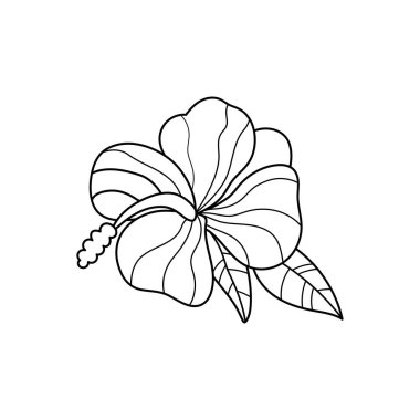 Hawaii çiçekleri. Vektör çizimi çizimi. Çocuklar ve yetişkinler için boyama kitabı antistresi