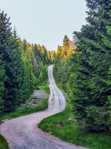 Almanya 'daki Harz Dağları' nda Brocken 'da yürüyüş.