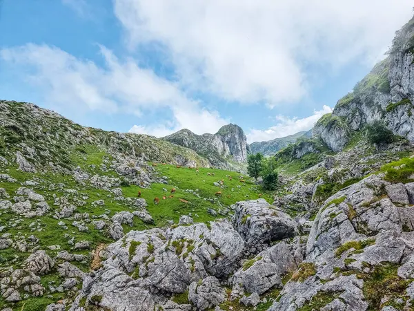Picos de Europa Asturias İspanya 'daki Cavadonga Gölleri