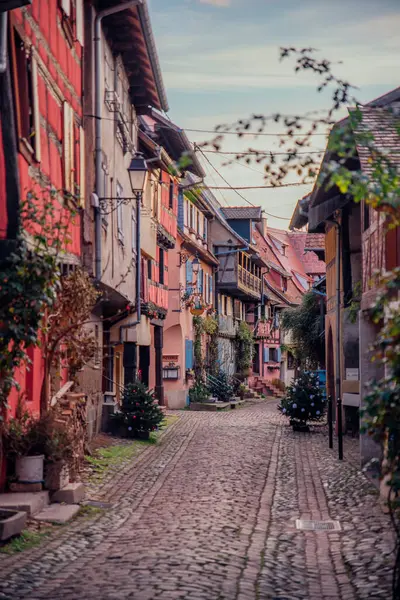 Eguisheim, Alsace Fransa 'da Noel süslemeleri