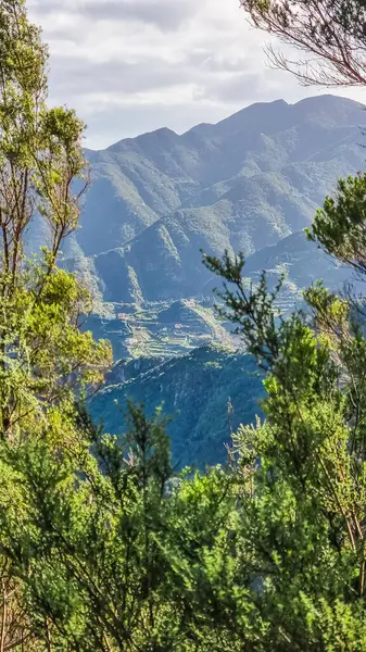 stock image Anaga Rural Park in Tenerife, Canary Islands, Spain