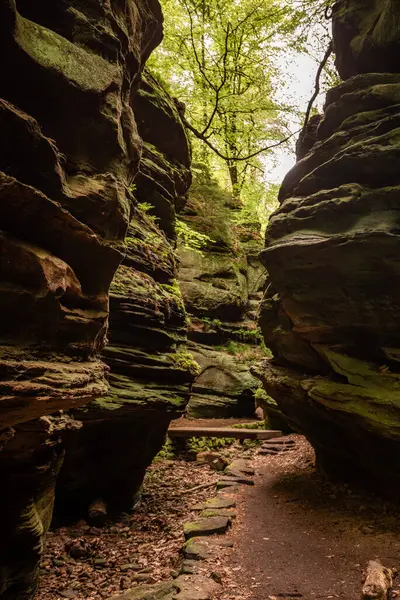 Lüksemburg 'da Mullerthal Trail' de yürüyüş