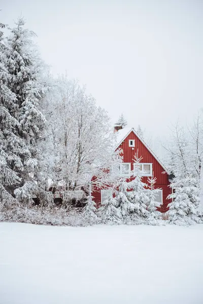 Kış, Harz, Almanya 'daki Kırık Dağlar' da karlı