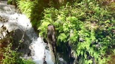 Chasing Waterfalls: Doğanın Akan Güzellik Harikalar Diyarı 'nda 4K Video Maceraları