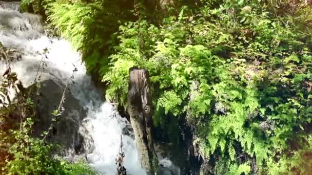 Чудесные Водопады Видео Стране Чудес Природы — стоковое видео