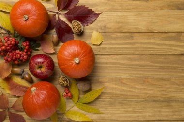 Balkabakları, böğürtlenler ve yapraklarla bezenmiş güzel bir sonbahar dairesi..