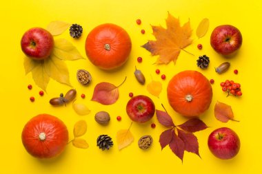 Şenlikli sonbahar dairesi balkabakları, böğürtlenler ve yapraklarla kaplıydı..