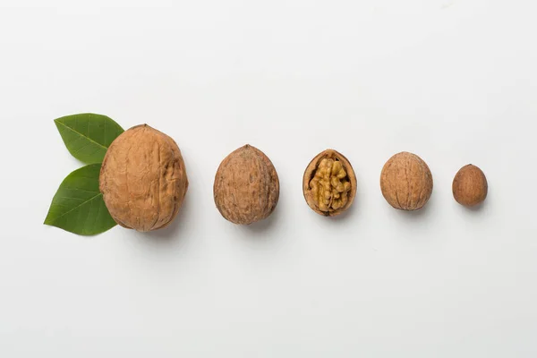 Different Sizes Walnuts White Background Top View — Stock Photo, Image