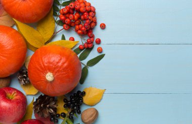 Balkabakları, böğürtlenler ve yapraklarla bezenmiş güzel bir sonbahar dairesi..