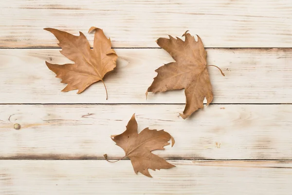 Flat Lay Composition Autumn Leaves Wooden Background Top View — 스톡 사진