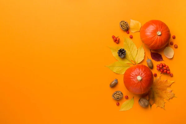 カボチャ 果実と色の背景に葉を持つ祭りの秋のフラットレイアウト トップビュー — ストック写真