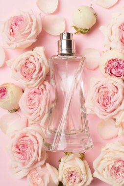 Bottle of perfume with rose flowers on color background, top view.