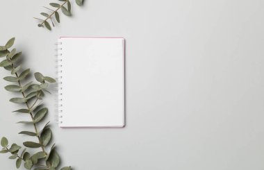 Notebook with beautiful eucalyptus branch on color background, top view.