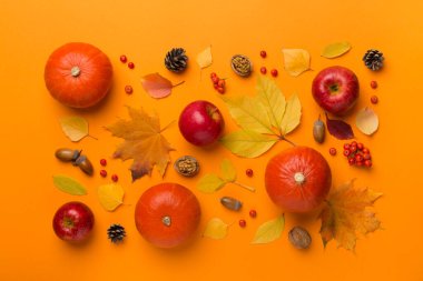 Şenlikli sonbahar dairesi balkabakları, böğürtlenler ve yapraklarla kaplıydı..