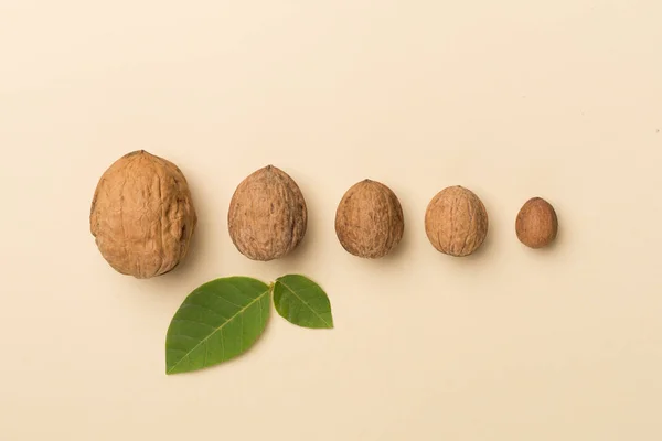 Verschillende Maten Walnoten Kleur Achtergrond Bovenaanzicht — Stockfoto