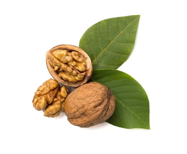 Walnuts Leaves Isolated White Top View — Stock Photo, Image
