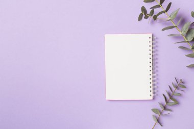 Notebook with beautiful eucalyptus branch on color background, top view.