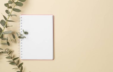 Notebook with beautiful eucalyptus branch on color background, top view.