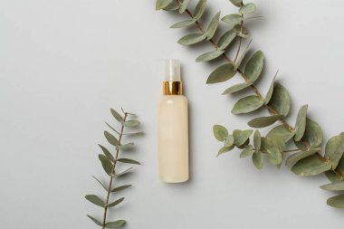 Renkli arka planda okaliptüs dallı kozmetik şişesi, üst görünüm.