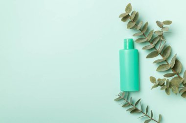 Renkli arka planda okaliptüs dallı kozmetik şişesi, üst görünüm.