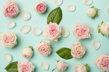 Flat lay with rose flowers on color background, top view.