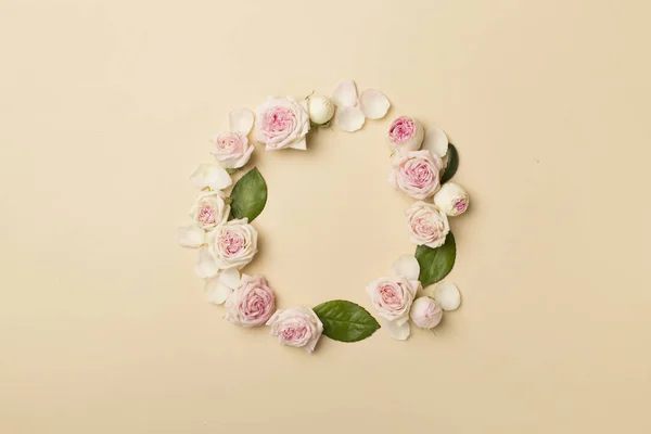 Flat Lay Rose Flowers Color Background Top View — Stok fotoğraf