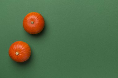 Renk arkaplanı üzerinde kabaklar, üst görünüm.