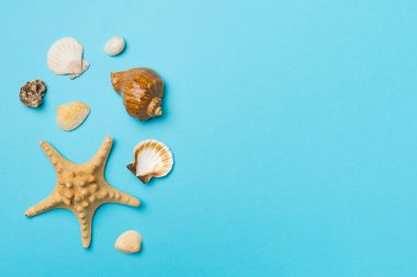 Renkli arka planda deniz kabukları, üst manzara. Yaz konsepti.