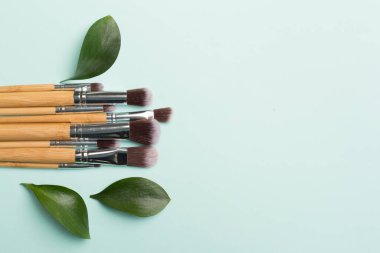 Natural biodegradable makeup brushes on color background, top view