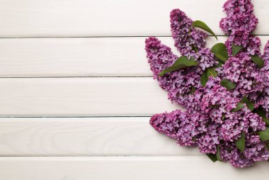 Ahşap arka planda leylak dallar, üst manzara. Bahar çiçekleri kavramı.