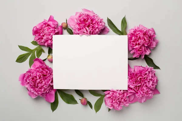 Mockup Cartão Saudação Com Flores Peônia Fundo Cor Vista Superior — Fotografia de Stock