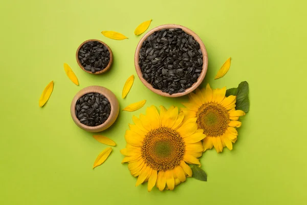 Sunflower Seeds Flowers Color Background Top View — Photo
