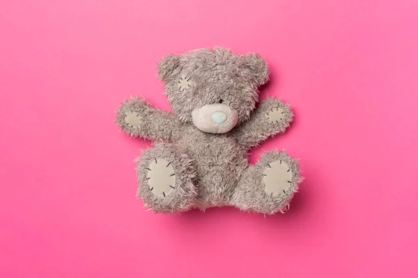 Cute teddy bear on color background, top view