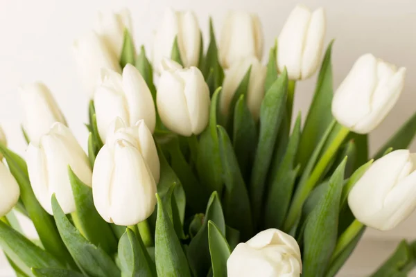 Чудовий Білий Букет Тюльпанів Вид Крупним Планом — стокове фото