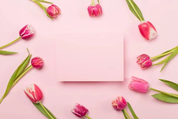 Heldere Tulpen Kleur Achtergrond Bovenaanzicht Mockup Wenskaart — Stockfoto