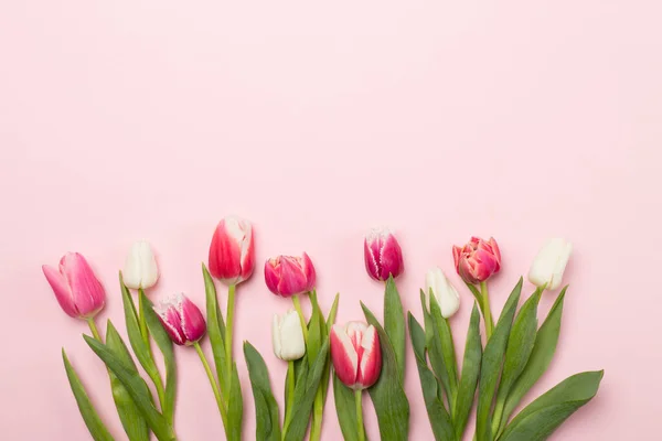 Яскраві Тюльпани Кольоровому Фоні Вид Зверху — стокове фото