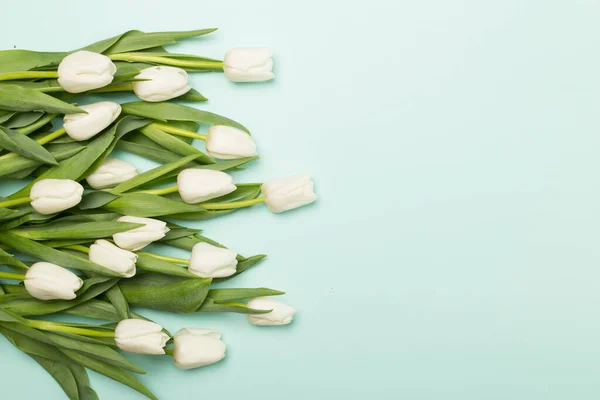 Білі Тюльпани Кольоровому Фоні Вид Зверху — стокове фото