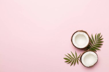 Renk arkaplanında yaprakları olan hindistan cevizi, üst görünüm