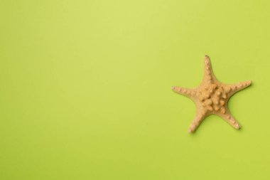 Renk arkaplan üzerinde denizyıldızı, üst görünüm.