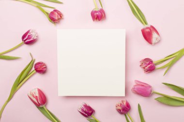 Renkli arka planda parlak laleler, üst manzara. Tebrik kartı modeli