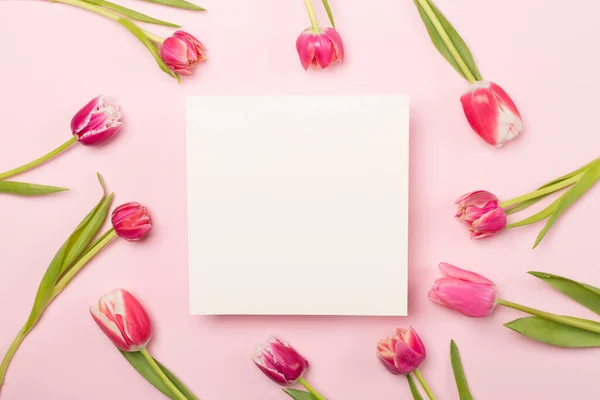 Bright Tulips Color Background Top View Greeting Card Mockup — Stock Photo, Image