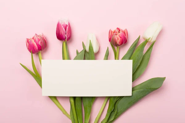 Bright Tulips Color Background Top View Greeting Card Mockup — Stock Photo, Image