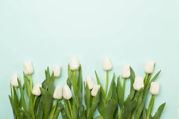 Білі Тюльпани Кольоровому Фоні Вид Зверху — стокове фото