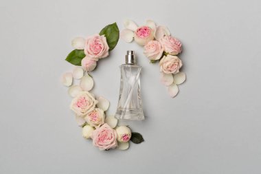 Bottle of perfume with rose flowers on color background, top view.