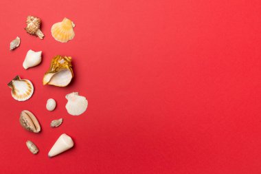 Renkli arka planda deniz kabukları, üst manzara. Yaz konsepti.