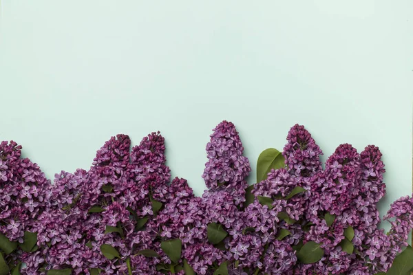 Lilac Takken Kleur Achtergrond Bovenaanzicht Voorjaarsbloemen — Stockfoto
