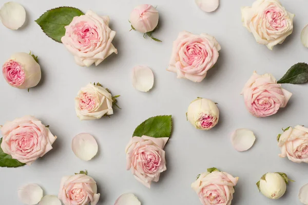 Flat Lay Rose Flowers Color Background Top View — Foto de Stock